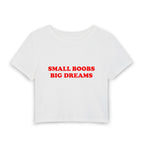 Small Boobs Big Dreams Baby Tee