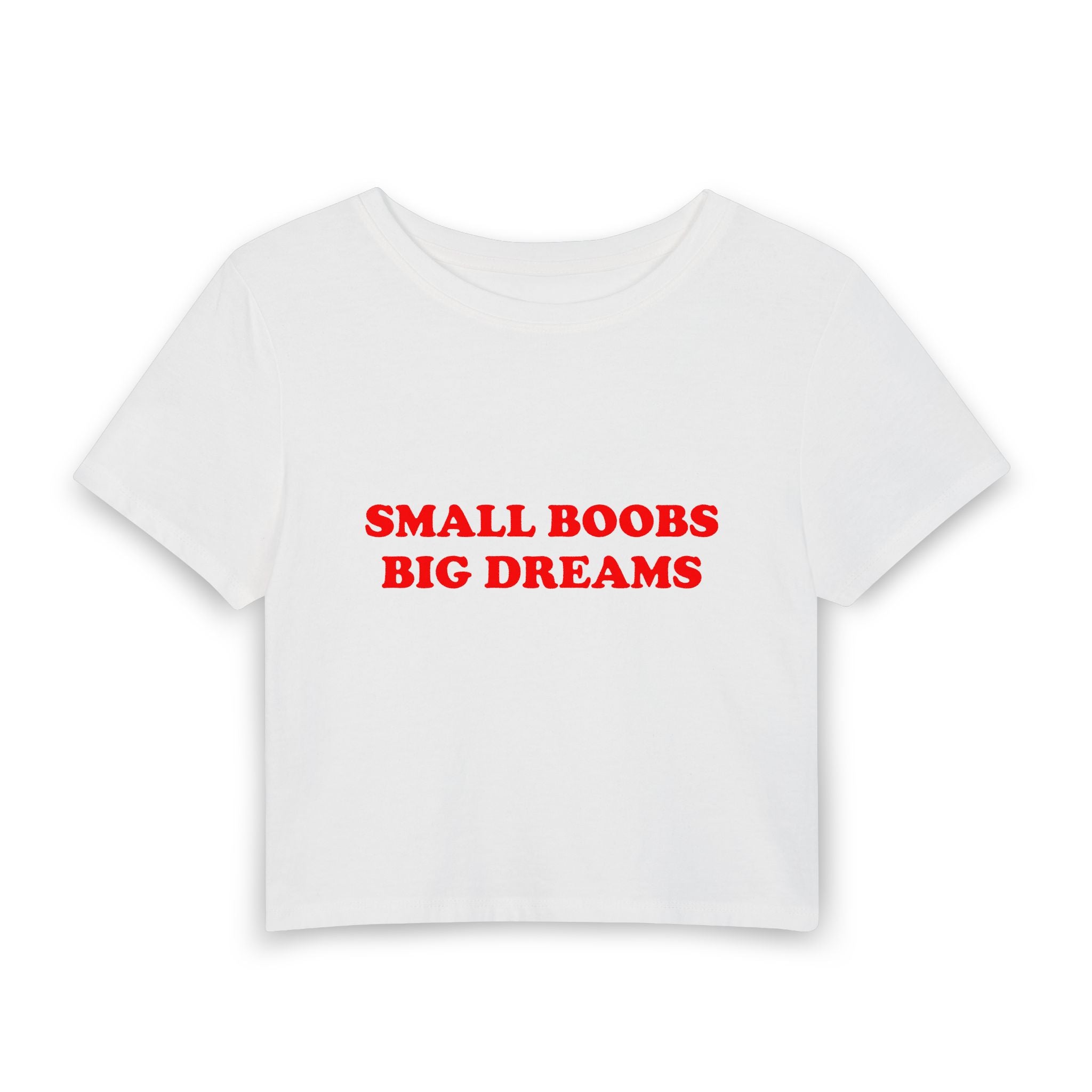 Small Boobs Big Dreams Baby Tee