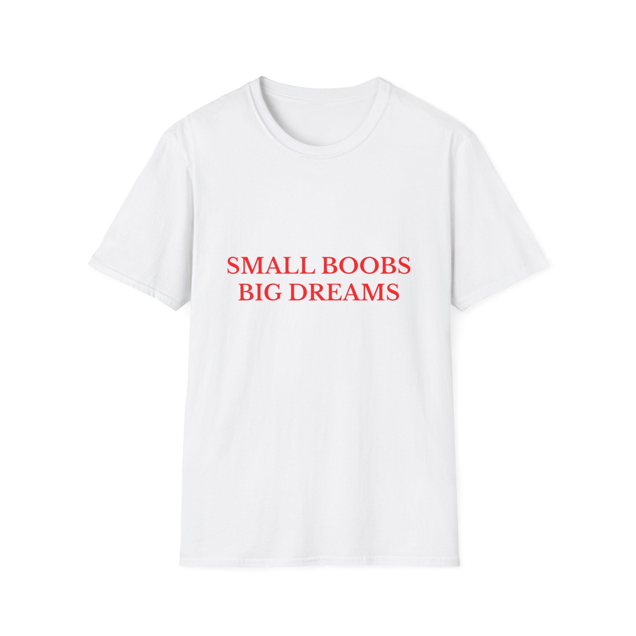 Small Boobs Big Dreams Tee