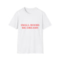 Small Boobs Big Dreams Tee