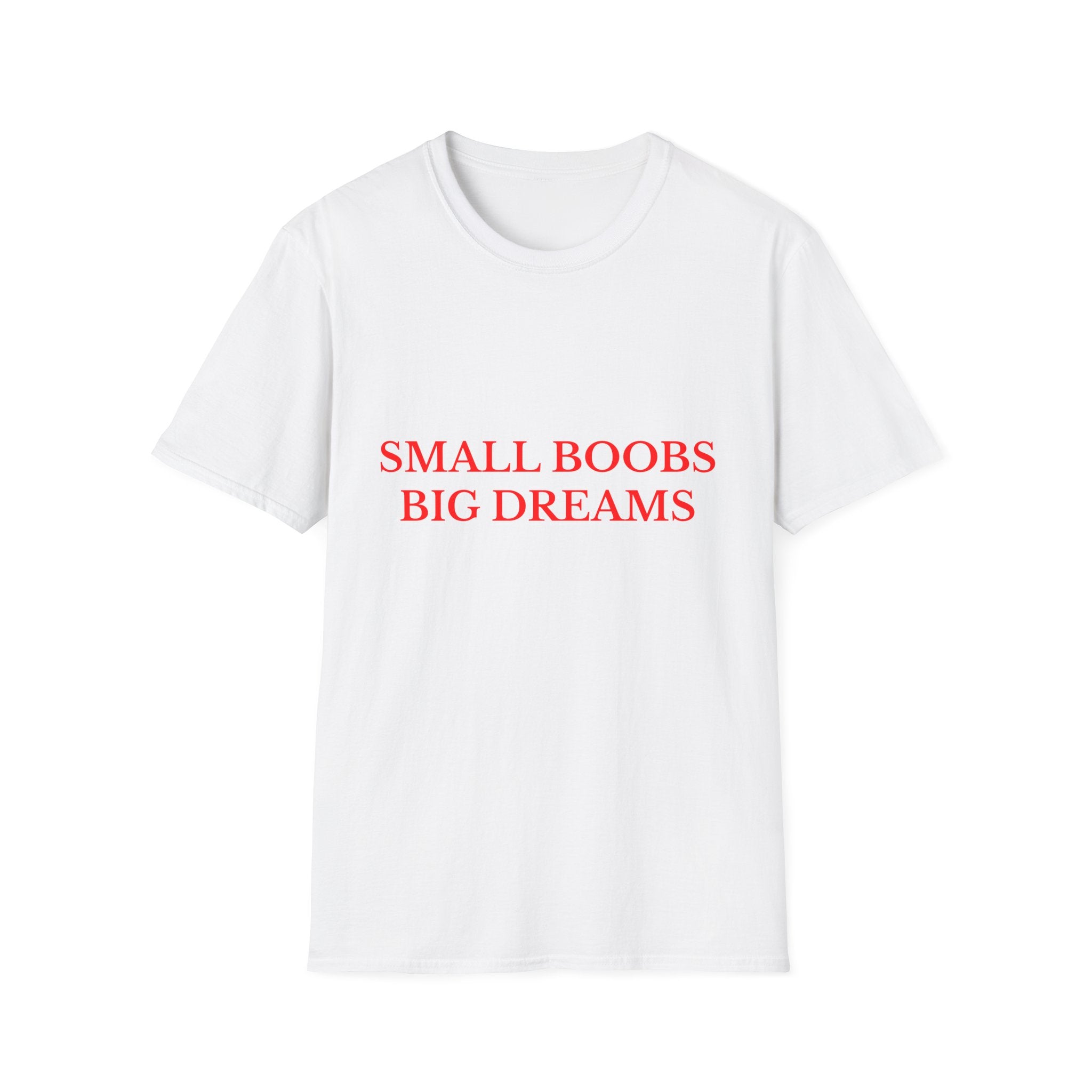 Small Boobs Big Dreams Tee