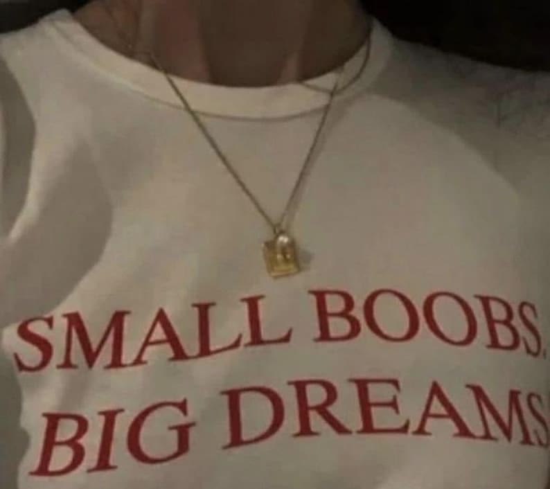 Small Boobs Big Dreams Tee