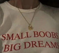 Small Boobs Big Dreams Tee