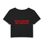 Small Boobs Big Dreams Baby Tee