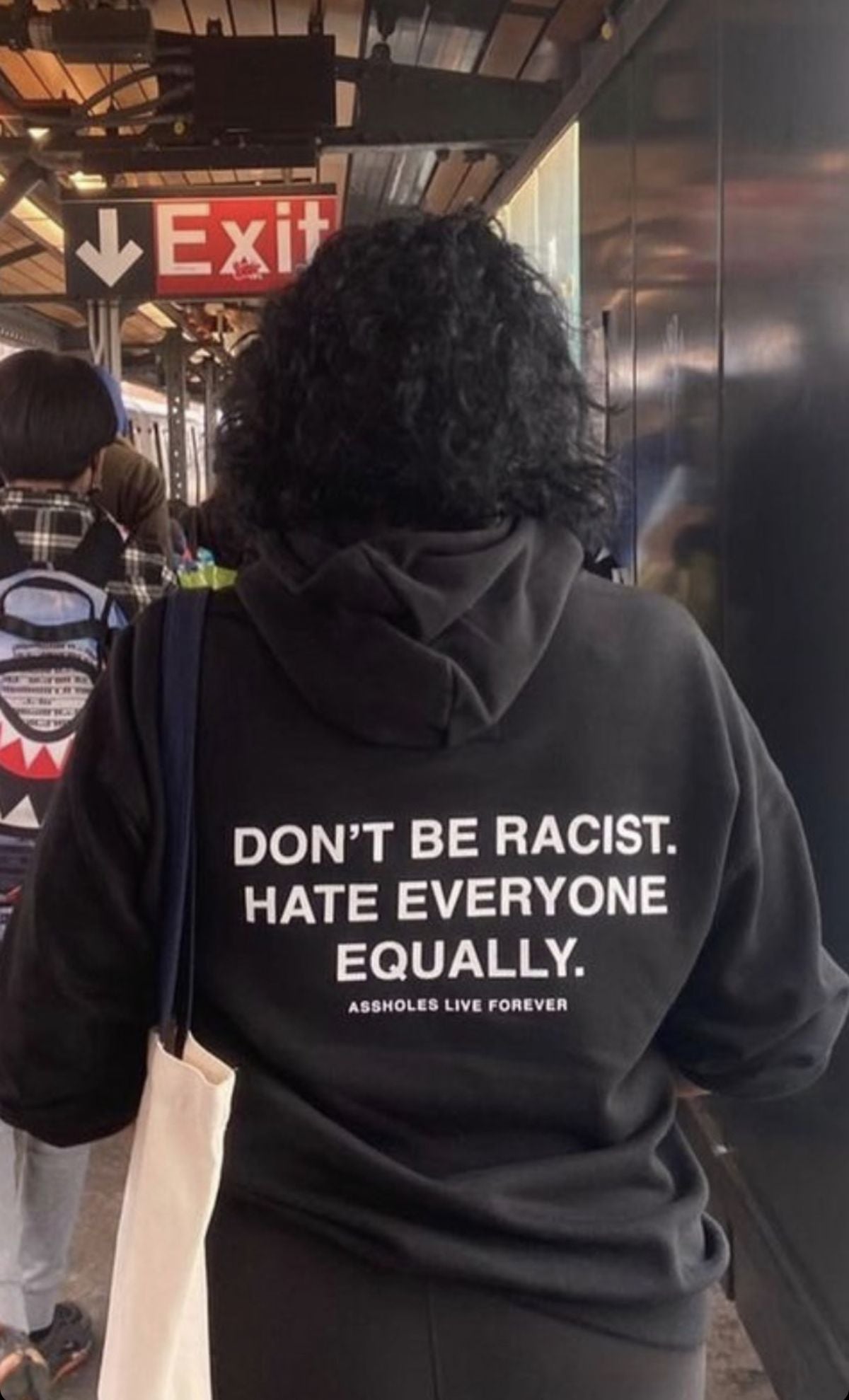 Don't Be Racist, Hate Everyone Equally Hoodie